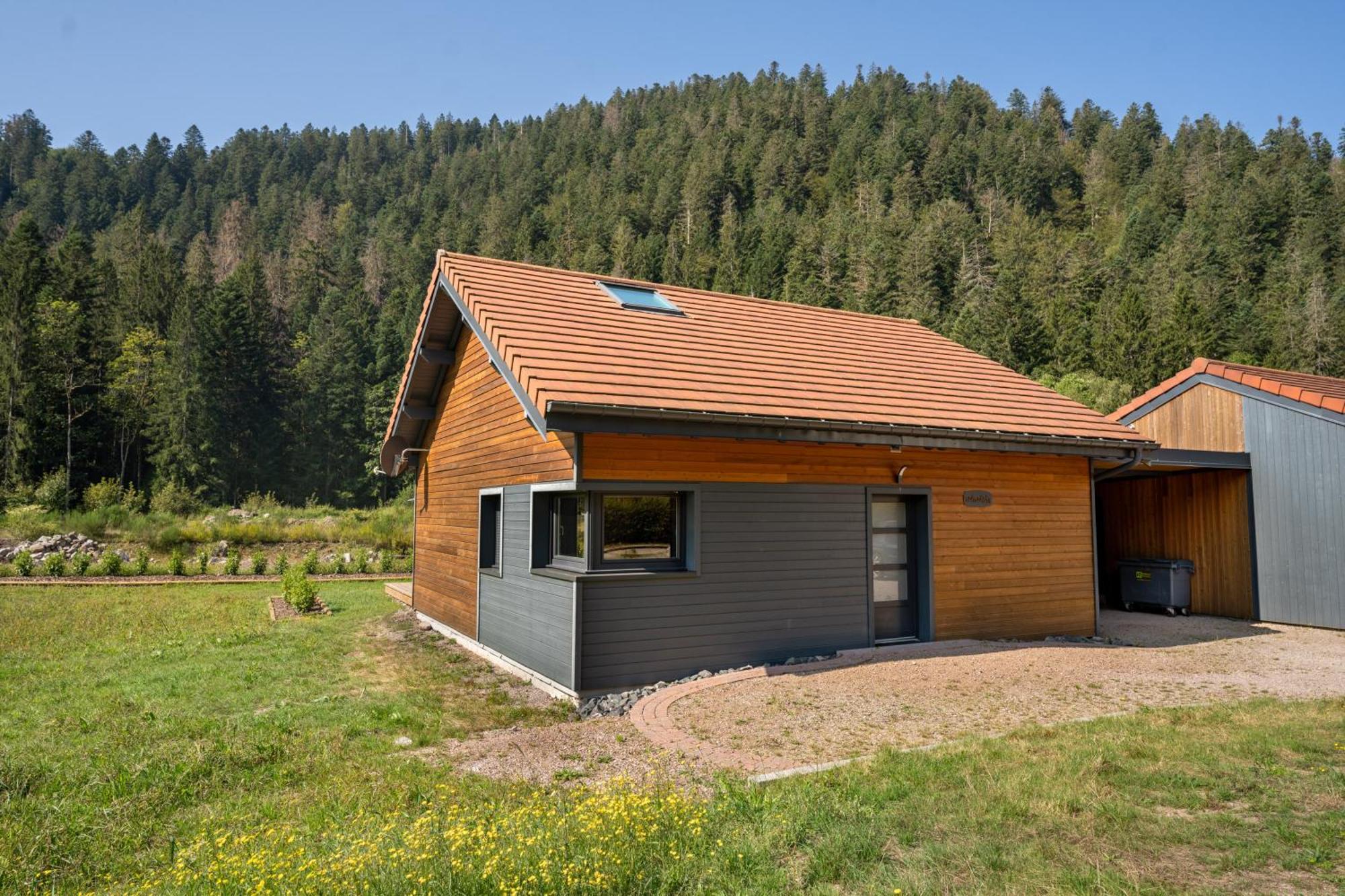 Chalet Nemesia Avec Spa A Gérardmer Buitenkant foto