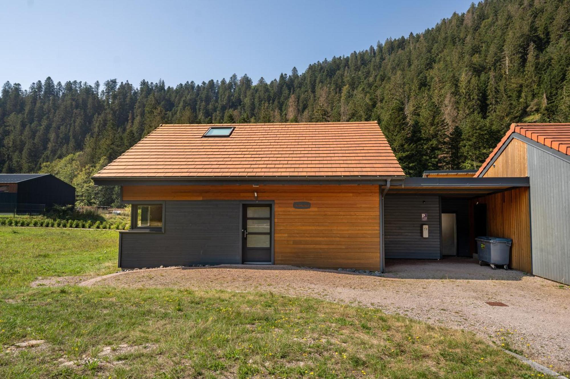 Chalet Nemesia Avec Spa A Gérardmer Buitenkant foto